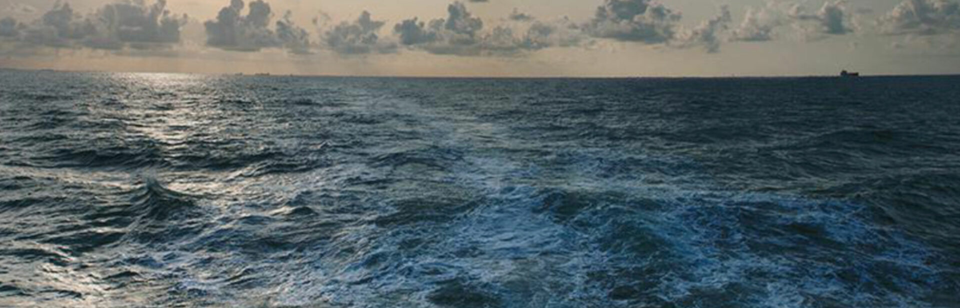 Magazine-Seafarers-Welfare-Professionals-2015