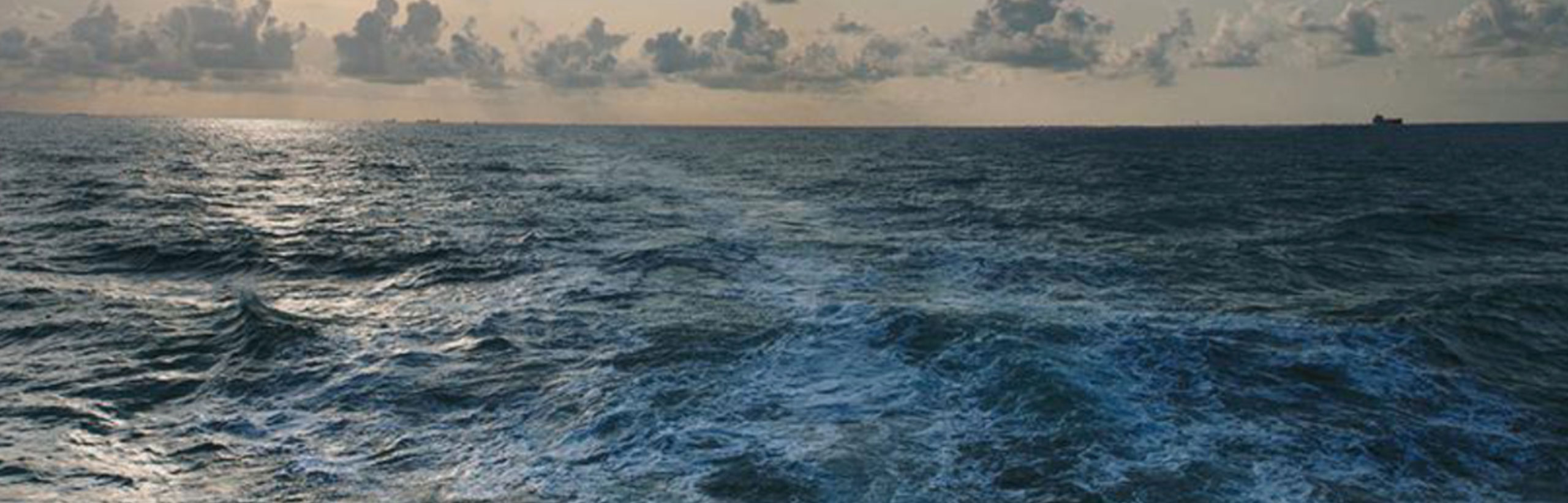 Magazine-Seafarers-Welfare-Professionals-2015